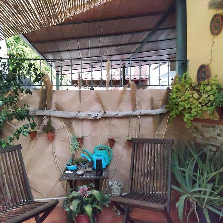 Cool Garden And Suite Mairena del Aljarafe Exteriör bild