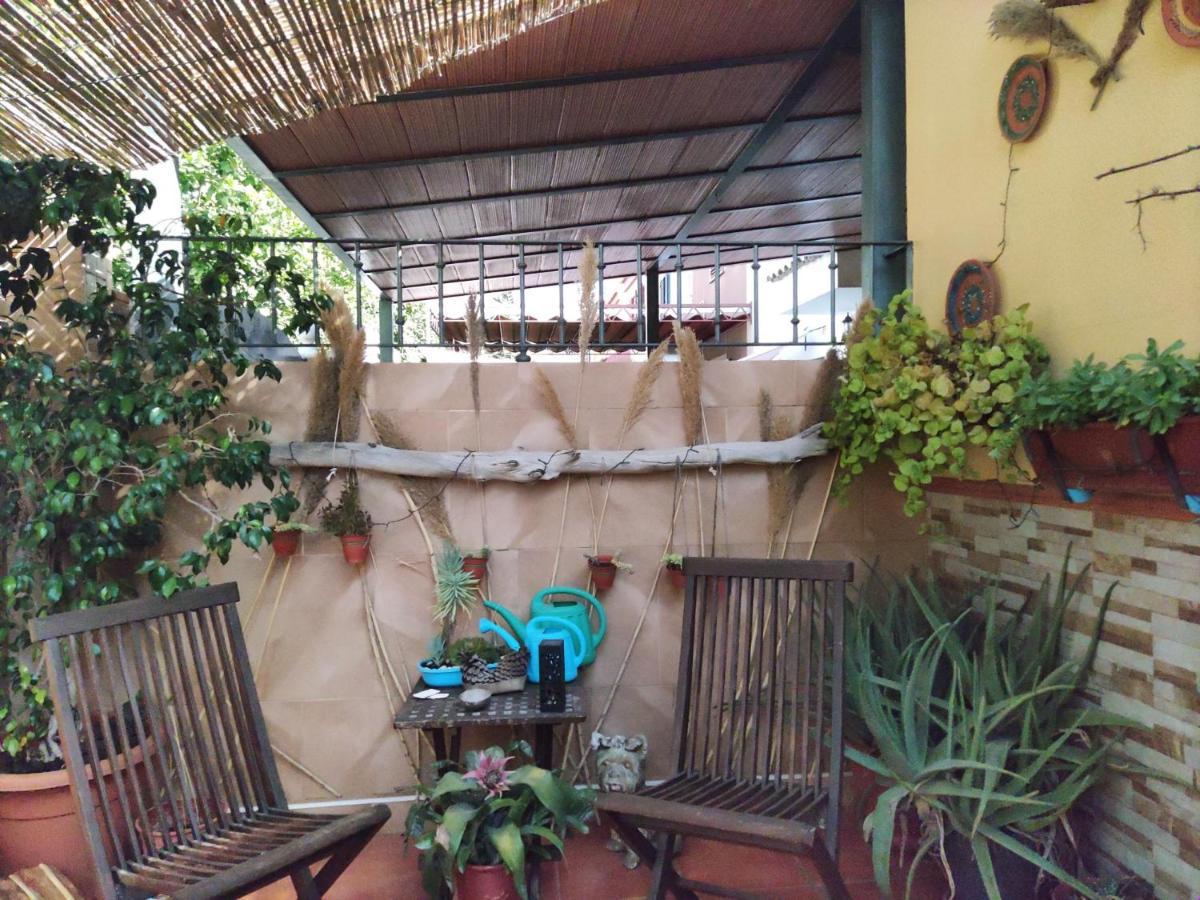 Cool Garden And Suite Mairena del Aljarafe Exteriör bild