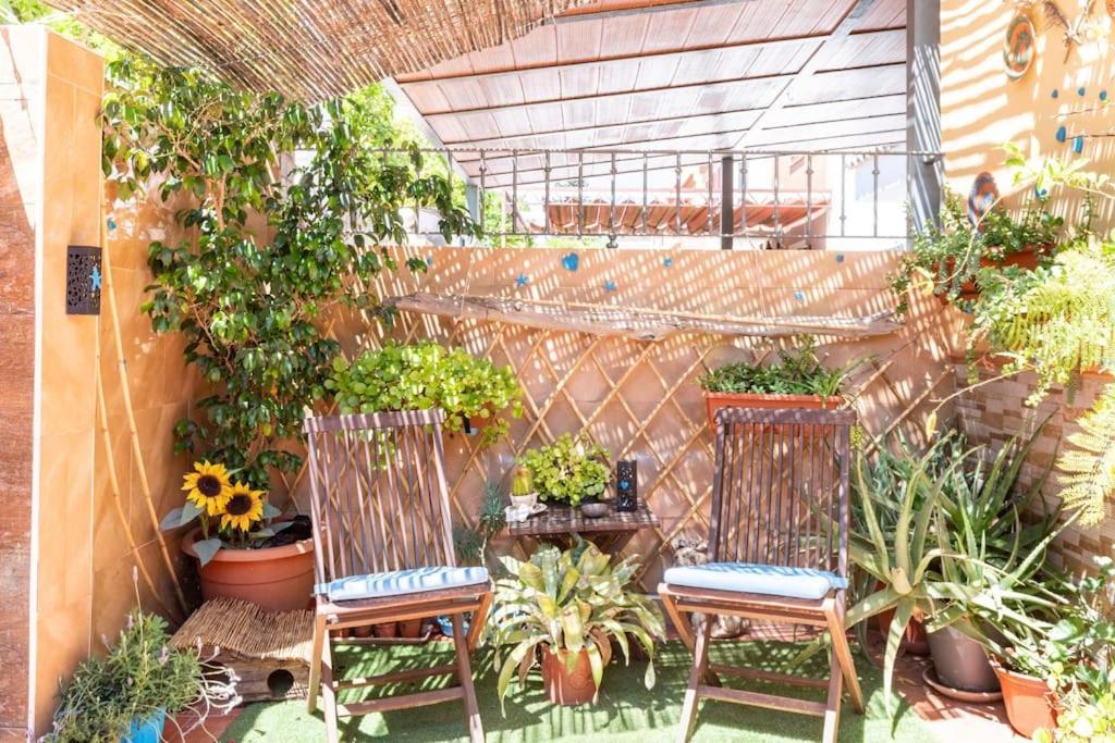 Cool Garden And Suite Mairena del Aljarafe Exteriör bild